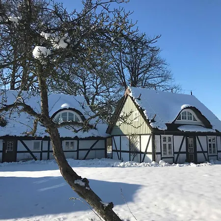 Holiday home Alte Fischerei *
