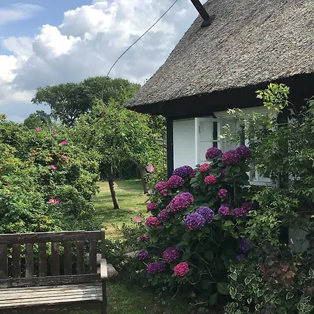 Alte Fischerei Bodstedt