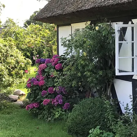 Alte Fischerei Holiday home