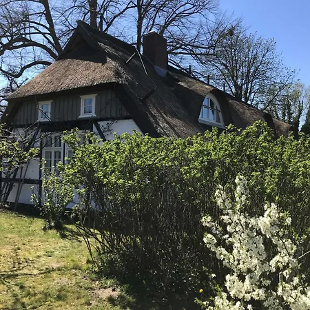 Alte Fischerei Bodstedt