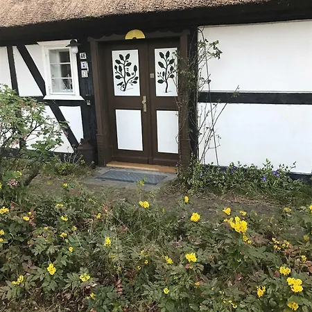 Alte Fischerei *