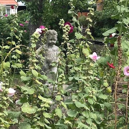 Alte Fischerei * Bodstedt